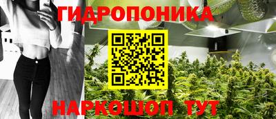 гидра Краснознаменск