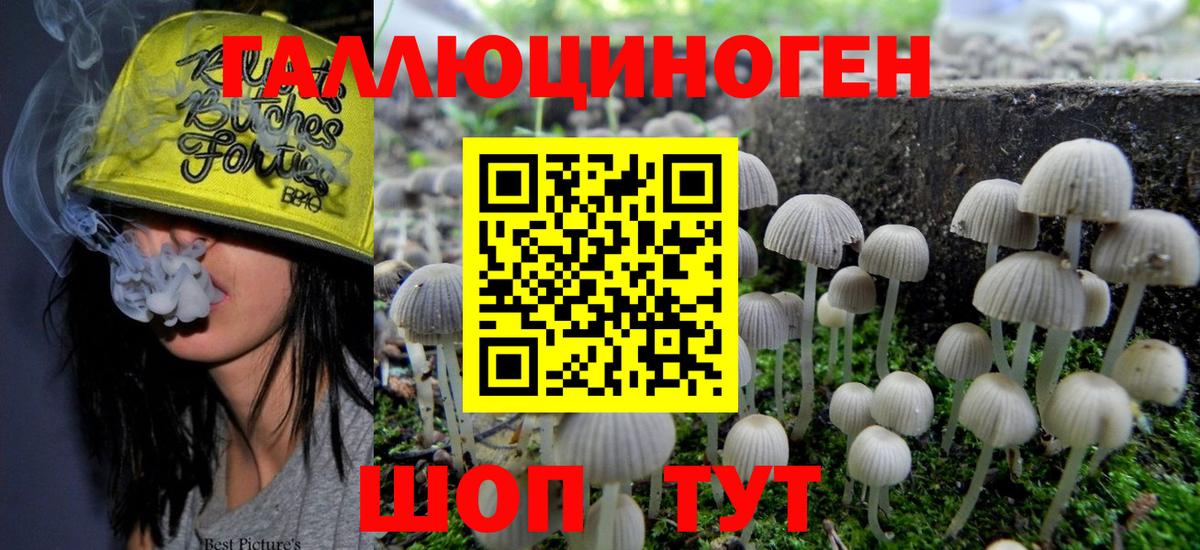Псилоцибиновые грибы GOLDEN TEACHER Каспийск