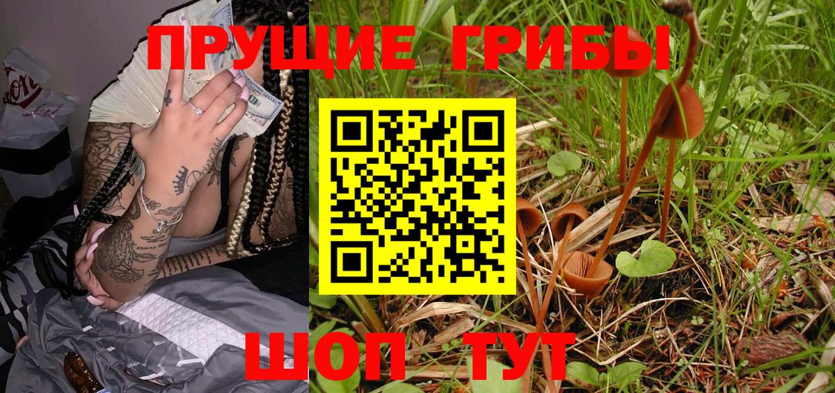 Галлюциногенные грибы Psilocybe  Вход с VPN  Каспийск 